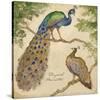 Peafowls-Betty Whiteaker-Stretched Canvas