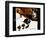 Peak and Chessie-Charles Bracker-Framed Premium Giclee Print