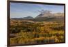 Peak fall color at Marias Pass in Glacier National Park, Montana, USA-Chuck Haney-Framed Photographic Print