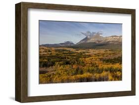 Peak fall color at Marias Pass in Glacier National Park, Montana, USA-Chuck Haney-Framed Photographic Print