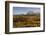 Peak fall color at Marias Pass in Glacier National Park, Montana, USA-Chuck Haney-Framed Photographic Print