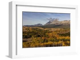 Peak fall color at Marias Pass in Glacier National Park, Montana, USA-Chuck Haney-Framed Photographic Print