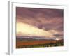 Peak Fall Colors, Denali National Park, Alaska, USA-Stuart Westmoreland-Framed Photographic Print