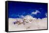 Peak of Mount Everest peeking through the clouds, Sagarmartha National Park, UNESCO World Heritage -Laura Grier-Framed Stretched Canvas