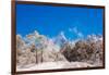 Peak of Mount Everest with snow covered forest, Himalayas, Nepal, Asia-Laura Grier-Framed Photographic Print