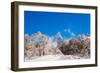 Peak of Mount Everest with snow covered forest, Himalayas, Nepal, Asia-Laura Grier-Framed Photographic Print