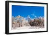 Peak of Mount Everest with snow covered forest, Himalayas, Nepal, Asia-Laura Grier-Framed Photographic Print