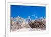 Peak of Mount Everest with snow covered forest, Himalayas, Nepal, Asia-Laura Grier-Framed Photographic Print