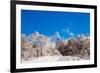 Peak of Mount Everest with snow covered forest, Himalayas, Nepal, Asia-Laura Grier-Framed Photographic Print