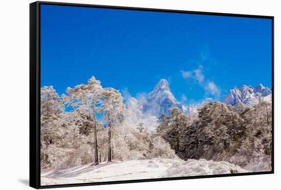 Peak of Mount Everest with snow covered forest, Himalayas, Nepal, Asia-Laura Grier-Framed Stretched Canvas