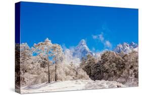 Peak of Mount Everest with snow covered forest, Himalayas, Nepal, Asia-Laura Grier-Stretched Canvas