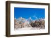 Peak of Mount Everest with snow covered forest, Himalayas, Nepal, Asia-Laura Grier-Framed Photographic Print