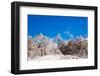 Peak of Mount Everest with snow covered forest, Himalayas, Nepal, Asia-Laura Grier-Framed Photographic Print