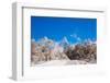 Peak of Mount Everest with snow covered forest, Himalayas, Nepal, Asia-Laura Grier-Framed Photographic Print