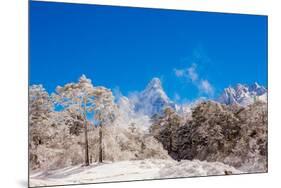 Peak of Mount Everest with snow covered forest, Himalayas, Nepal, Asia-Laura Grier-Mounted Premium Photographic Print