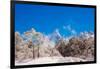 Peak of Mount Everest with snow covered forest, Himalayas, Nepal, Asia-Laura Grier-Framed Premium Photographic Print