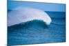 Peak-Offshore wind and breaking wave, Hawaii-Mark A Johnson-Mounted Photographic Print