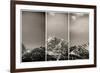 Peak Panel-Nathan Larson-Framed Photographic Print