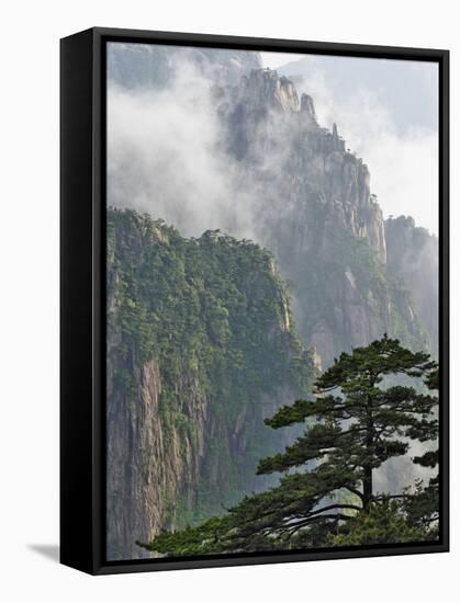 Peaks and Valleys of Grand Canyon in West Sea, Mt. Huang Shan, China-Adam Jones-Framed Stretched Canvas