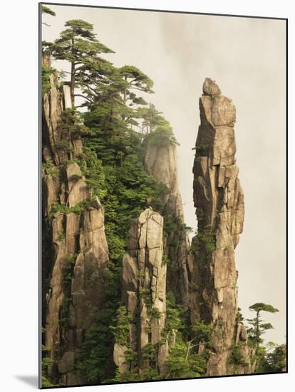 Peaks and Valleys of Grand Canyon in West Sea, Mt. Huang Shan, China-Adam Jones-Mounted Photographic Print