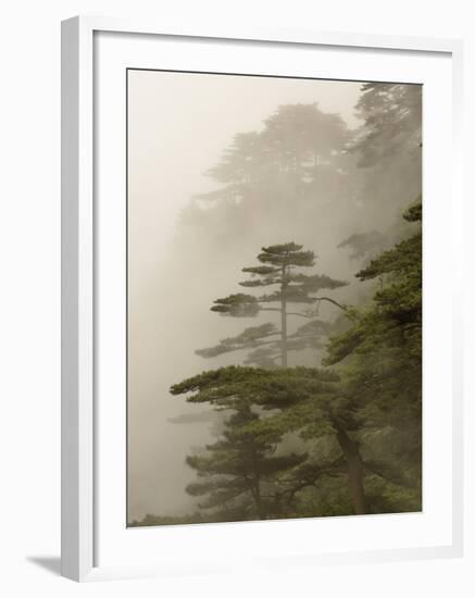 Peaks and Valleys of Grand Canyon in West Sea, Mt. Huang Shan, China-Adam Jones-Framed Photographic Print