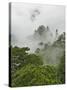 Peaks and Valleys of Grand Canyon in West Sea, Mt. Huang Shan, China-Adam Jones-Stretched Canvas