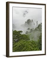 Peaks and Valleys of Grand Canyon in West Sea, Mt. Huang Shan, China-Adam Jones-Framed Photographic Print