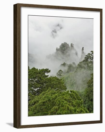 Peaks and Valleys of Grand Canyon in West Sea, Mt. Huang Shan, China-Adam Jones-Framed Photographic Print