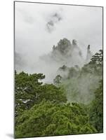 Peaks and Valleys of Grand Canyon in West Sea, Mt. Huang Shan, China-Adam Jones-Mounted Photographic Print