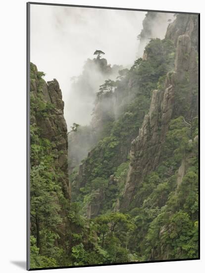 Peaks and Valleys of Grand Canyon in West Sea, Mt. Huang Shan, China-Adam Jones-Mounted Photographic Print