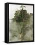 Peaks and Valleys of Grand Canyon in West Sea, Mt. Huang Shan, China-Adam Jones-Framed Stretched Canvas