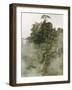 Peaks and Valleys of Grand Canyon in West Sea, Mt. Huang Shan, China-Adam Jones-Framed Photographic Print