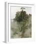 Peaks and Valleys of Grand Canyon in West Sea, Mt. Huang Shan, China-Adam Jones-Framed Photographic Print