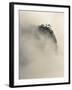 Peaks and Valleys of Grand Canyon in West Sea, Mt. Huang Shan, China-Adam Jones-Framed Photographic Print