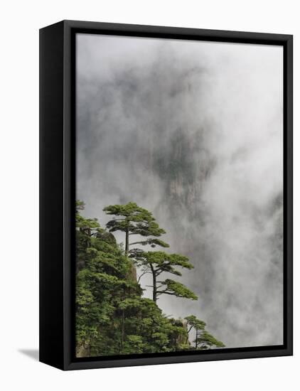 Peaks and Valleys of Grand Canyon in West Sea, Mt. Huang Shan, China-Adam Jones-Framed Stretched Canvas