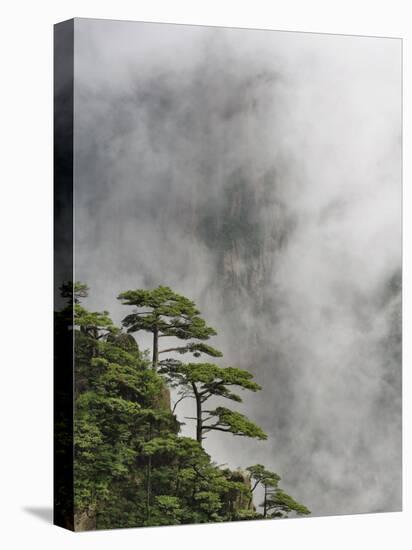 Peaks and Valleys of Grand Canyon in West Sea, Mt. Huang Shan, China-Adam Jones-Stretched Canvas