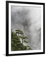 Peaks and Valleys of Grand Canyon in West Sea, Mt. Huang Shan, China-Adam Jones-Framed Premium Photographic Print