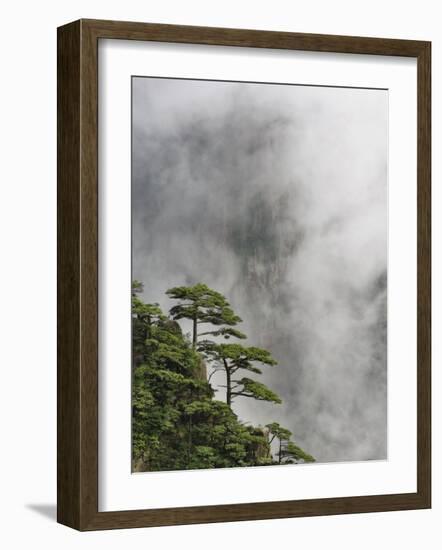 Peaks and Valleys of Grand Canyon in West Sea, Mt. Huang Shan, China-Adam Jones-Framed Photographic Print