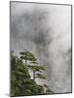 Peaks and Valleys of Grand Canyon in West Sea, Mt. Huang Shan, China-Adam Jones-Mounted Photographic Print