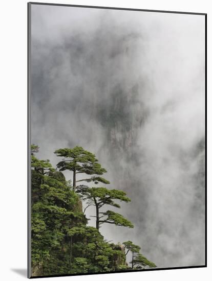 Peaks and Valleys of Grand Canyon in West Sea, Mt. Huang Shan, China-Adam Jones-Mounted Photographic Print
