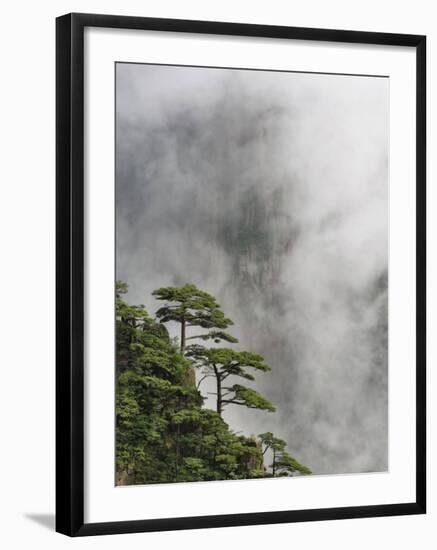 Peaks and Valleys of Grand Canyon in West Sea, Mt. Huang Shan, China-Adam Jones-Framed Photographic Print