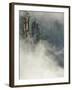 Peaks and Valleys of Grand Canyon in West Sea, Mt. Huang Shan, China-Adam Jones-Framed Photographic Print