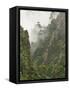 Peaks and Valleys of Grand Canyon in West Sea, Mt. Huang Shan, China-Adam Jones-Framed Stretched Canvas