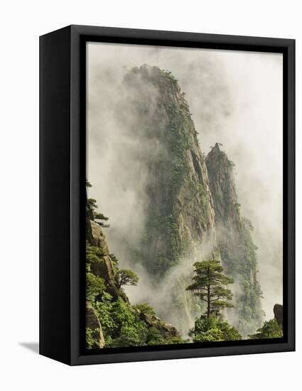 Peaks and Valleys of Grand Canyon in West Sea, Mt. Huang Shan, China-Adam Jones-Framed Stretched Canvas