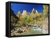 Peaks of Abraham and Isaac Tower Above the Virgin River, Utah, USA-Ruth Tomlinson-Framed Stretched Canvas