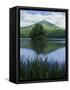 Peaks of Otter, Abbott Lake, Blue Ridge Parkway, Virginia, USA-Charles Gurche-Framed Stretched Canvas