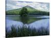 Peaks of Otter, Abbott Lake, Blue Ridge Parkway, Virginia, USA-Charles Gurche-Stretched Canvas