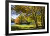 Peaks of Otter Lake II-Alan Hausenflock-Framed Photographic Print