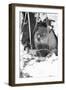 Peanut the Groundhog Looking out of Burrow-Mike Feldman-Framed Photographic Print