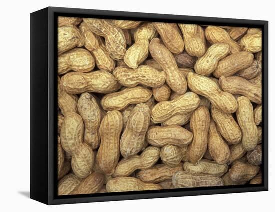 Peanuts in Shell, Washington, USA-Jamie & Judy Wild-Framed Stretched Canvas